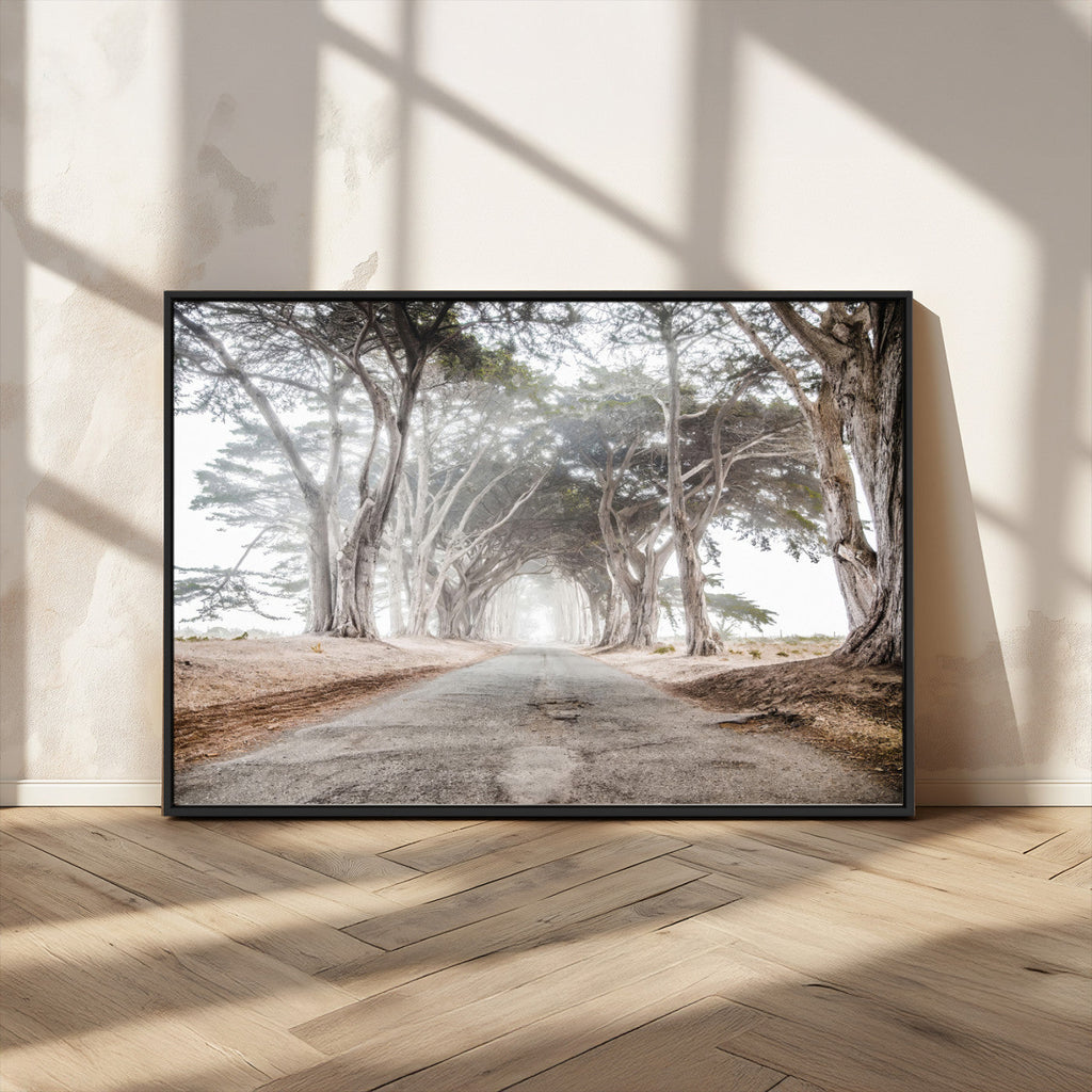 Cypress Tunnel Wall Art | Framed Misty Road Canvas Artwork