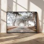 Cypress Tunnel Wall Art | Framed Misty Road Canvas Artwork