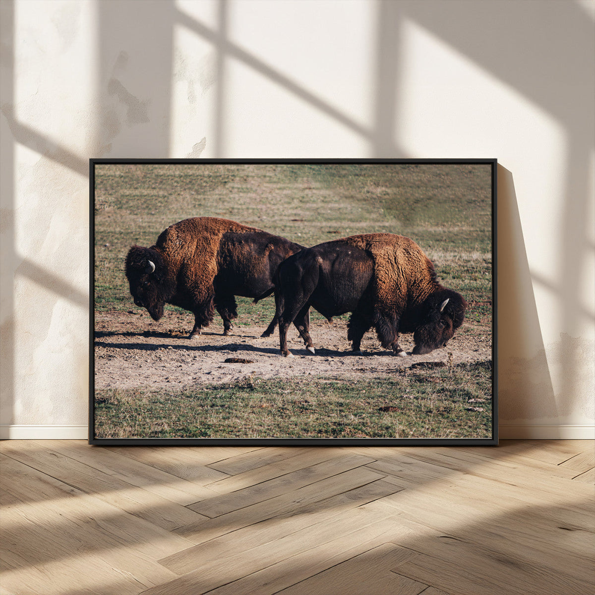 Bison Wall Art Canvas Print, Framed Western Wildlife Modern Ranch
