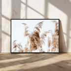 Pampas Grass Wall Art Canvas Print, Framed Neutral Tones Minimalist Boho