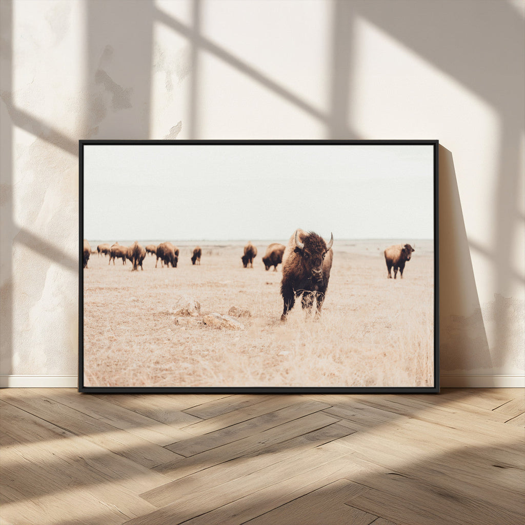 Bison Herd Wall Art Canvas Print, Framed Western Prairie Serenity