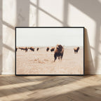 Bison Herd Wall Art Canvas Print, Framed Western Prairie Serenity