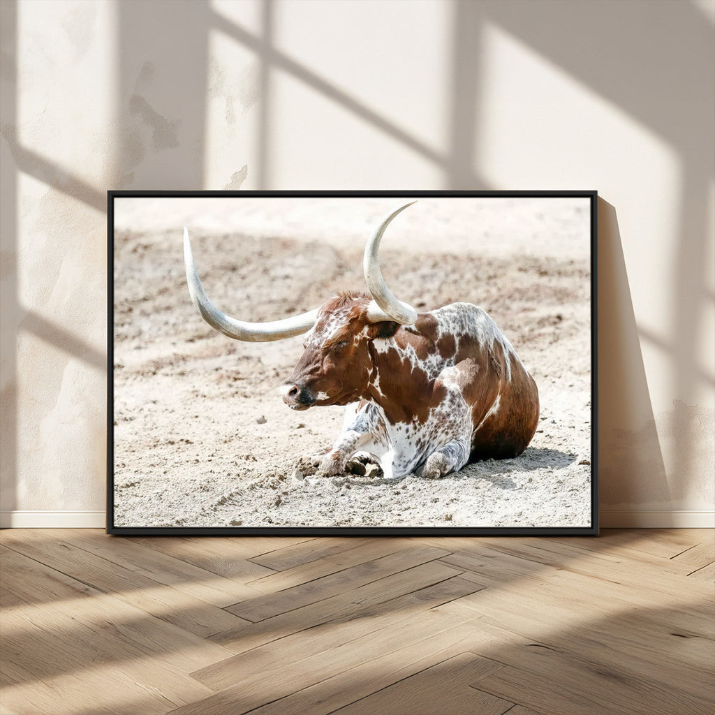 Majestic Longhorn Wall Art Canvas Print, Resting on Sunlit Desert Ground