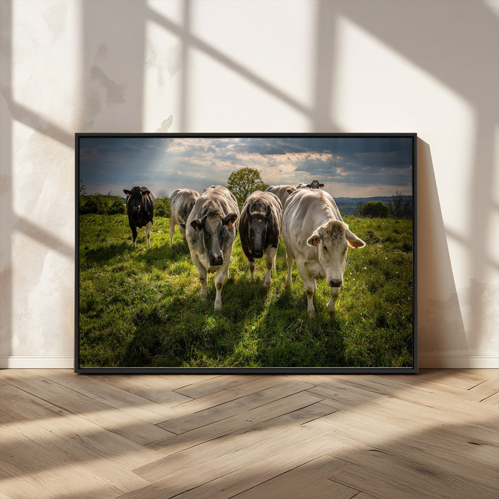 Grazing Cattle Herd Wall Art Canvas Print, Framed Green Pasture Farm Scene