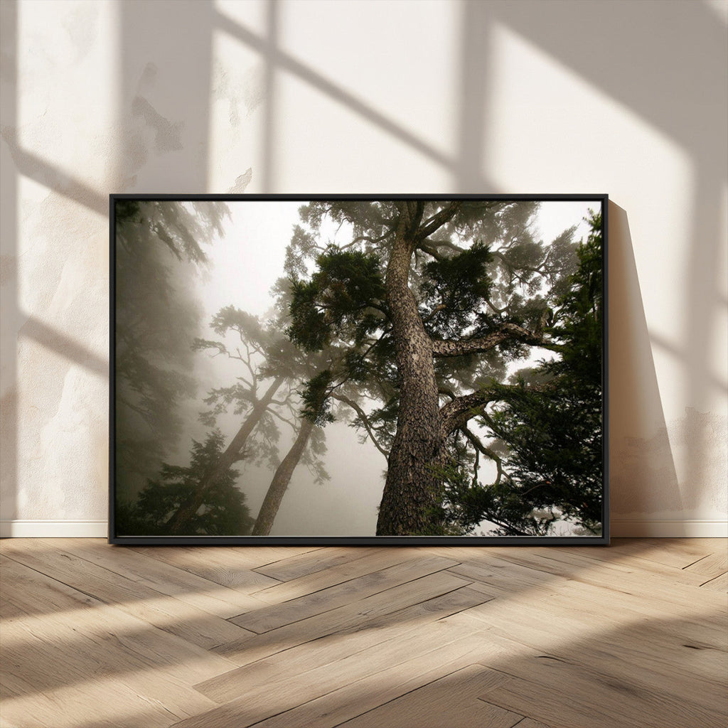 Misty Forest Wall Art Canvas Print, Framed Tall Trees in Foggy Atmosphere