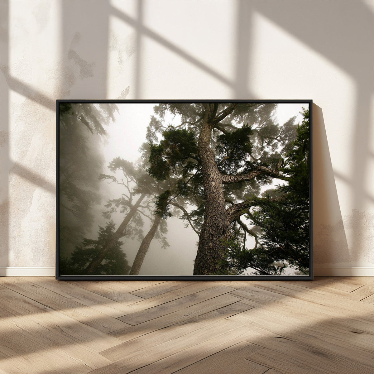 Misty Forest Wall Art Canvas Print, Framed Tall Trees in Foggy Atmosphere
