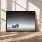 Elephant and Zebra Wall Art Canvas Print, Modern Artwork