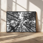 Trees Contemporary Art Canvas Print