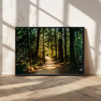 Sunlit Forest Pathway Canvas Print | 3 Panel Large Nature Wall Art