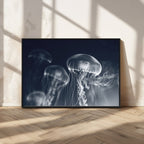 Jellyfish Wall Art Canvas Print, Modern Abstract Jellyfish