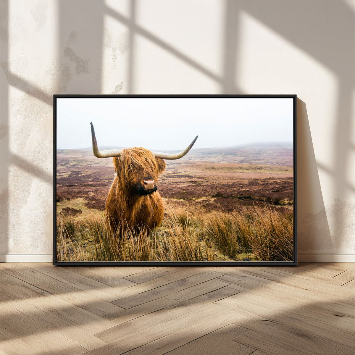 Scottish Highland Cow Canvas Wall Art, Rustic Farmhouse Decor