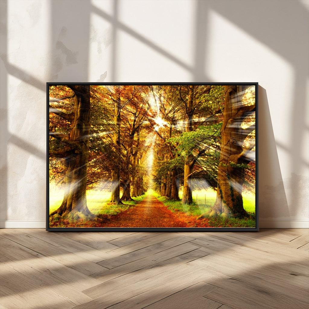 Sunshine in Forest and Trees Wall Art Canvas Print
