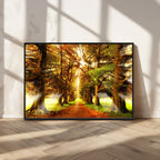 Sunshine in Forest and Trees Wall Art Canvas Print