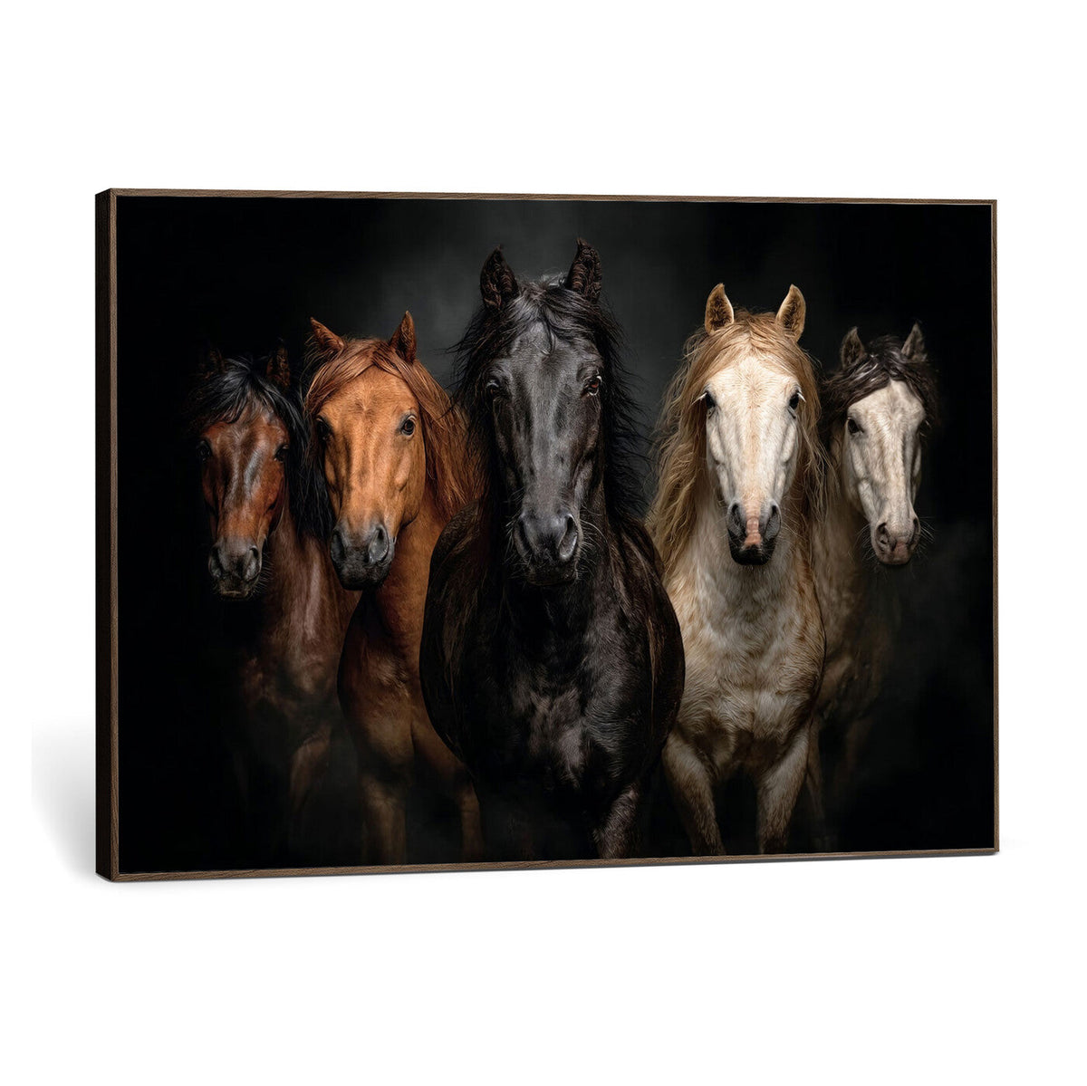 Horse Wall Art Canvas Print, Wild Horses Portrait Photography, Rustic Ranch Decor