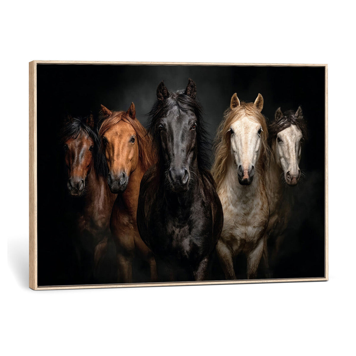 Horse Wall Art Canvas Print, Wild Horses Portrait Photography, Rustic Ranch Decor