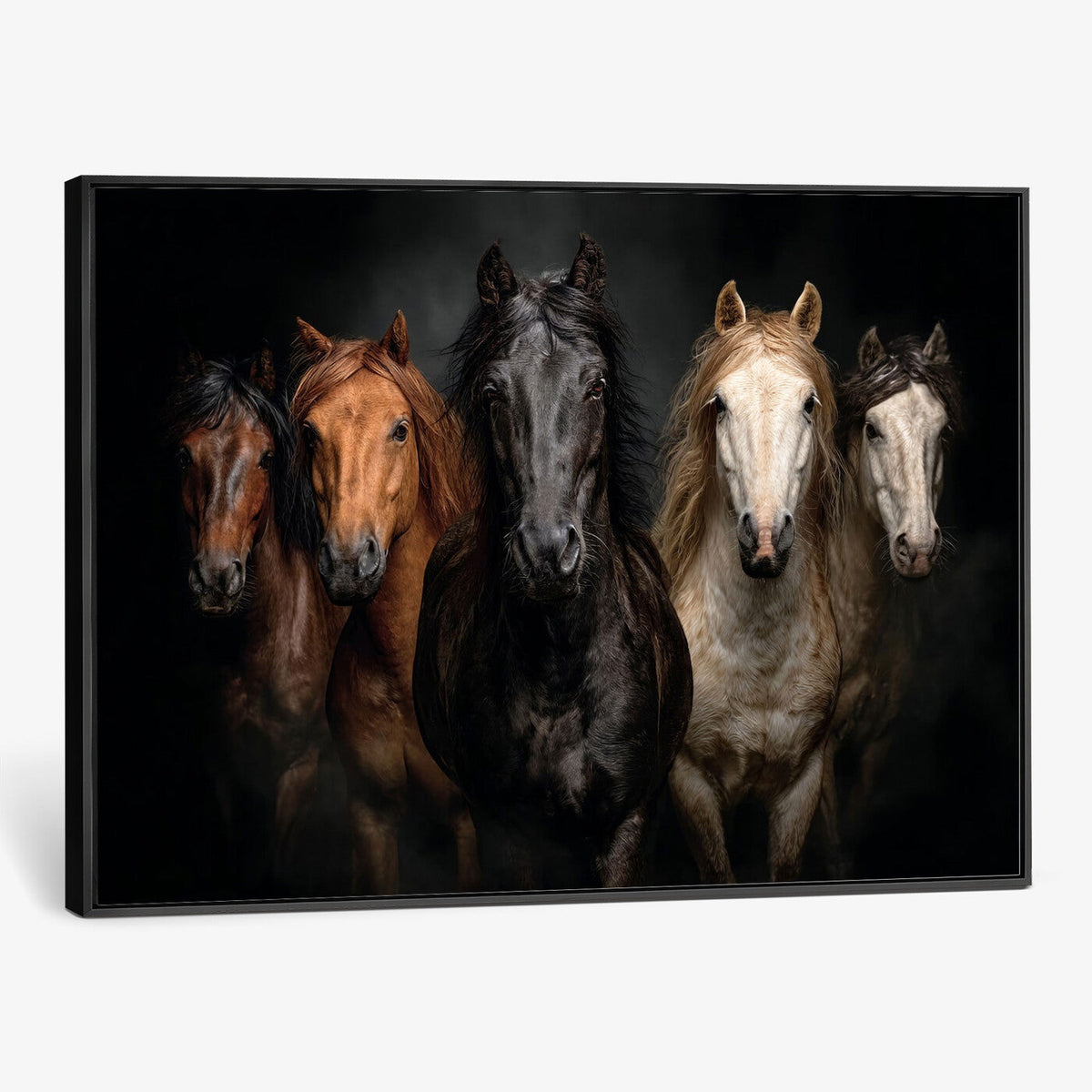 Horse Wall Art Canvas Print, Wild Horses Portrait Photography, Rustic Ranch Decor
