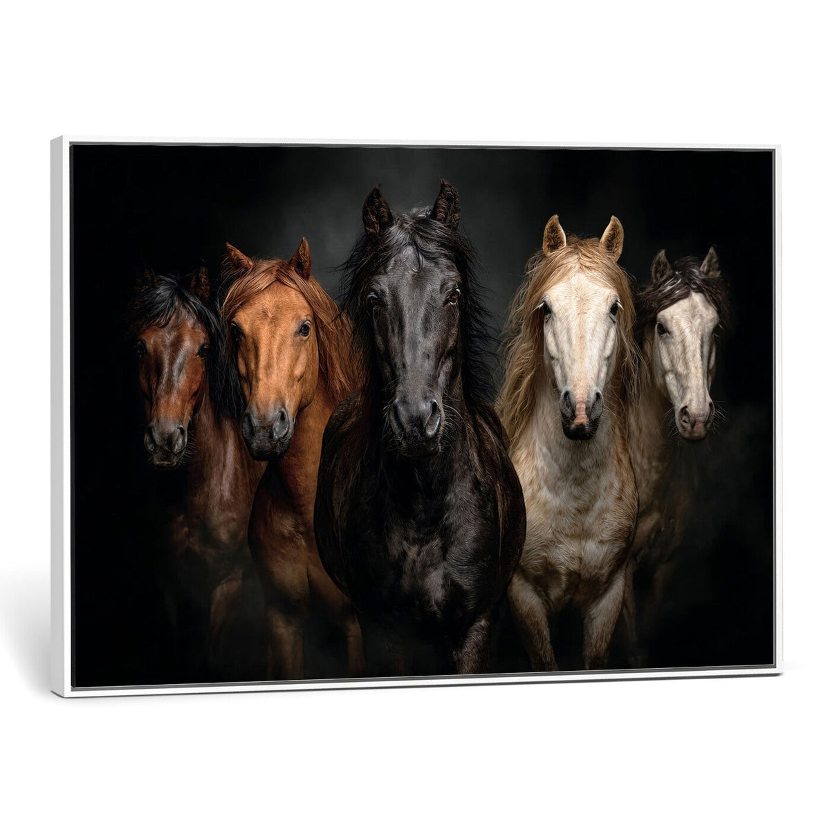 Horse Wall Art Canvas Print, Wild Horses Portrait Photography, Rustic Ranch Decor