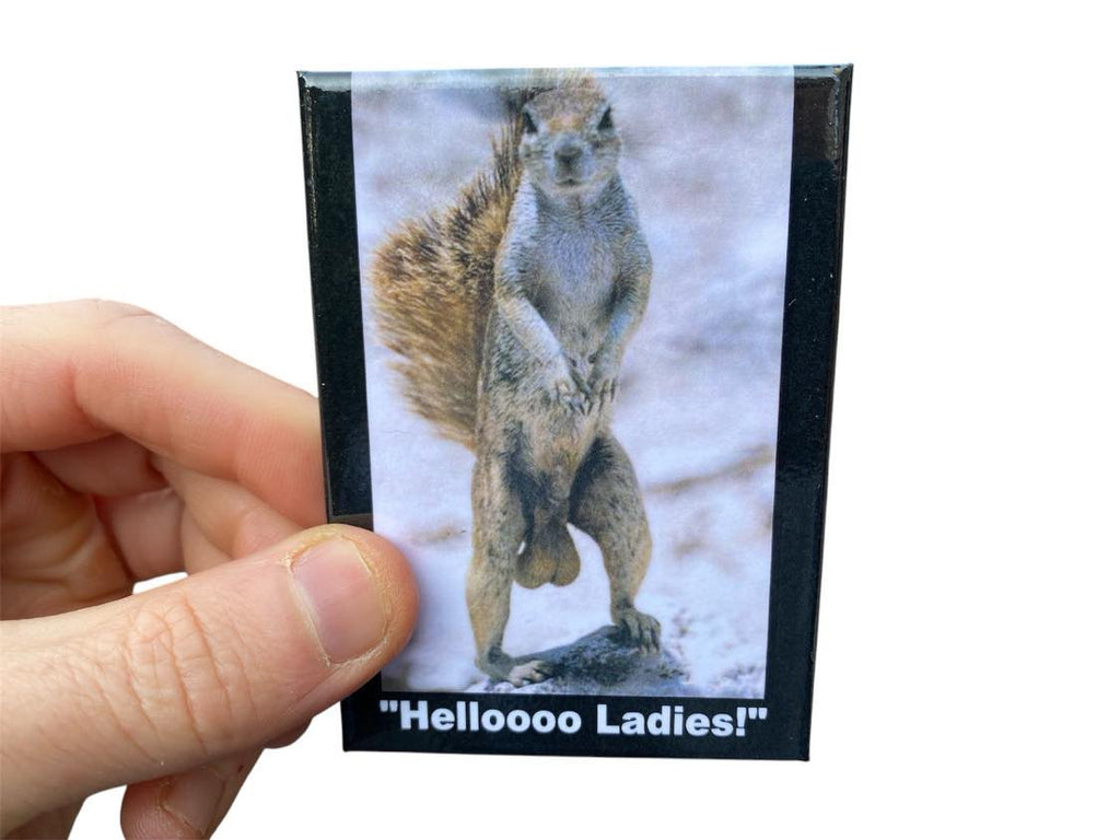 "Helloooo Ladies!" Sexy Squirrel Fridge Kitchen Magnet - 3.5" x 2.5" Made in USA