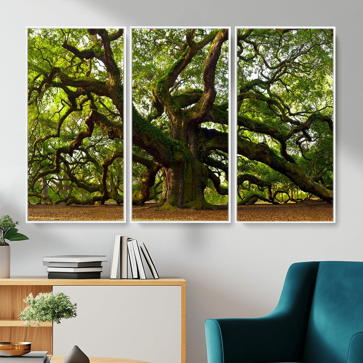 Angel Oak Tree Wall Art Canvas Print | Forest Tree Nature Photography Print