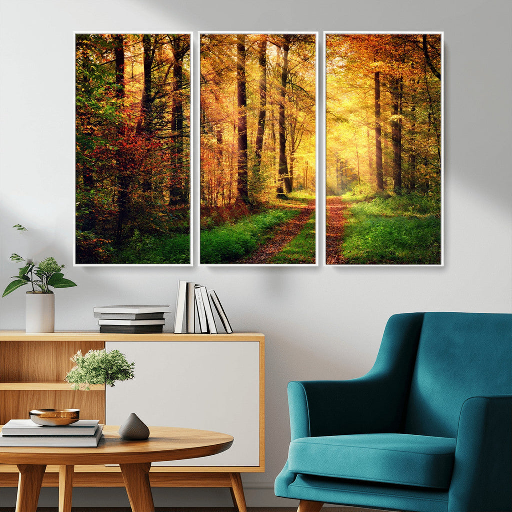 Sunlight Through Trees Wall Art Canvas Print | Autumn Forest Wall Art