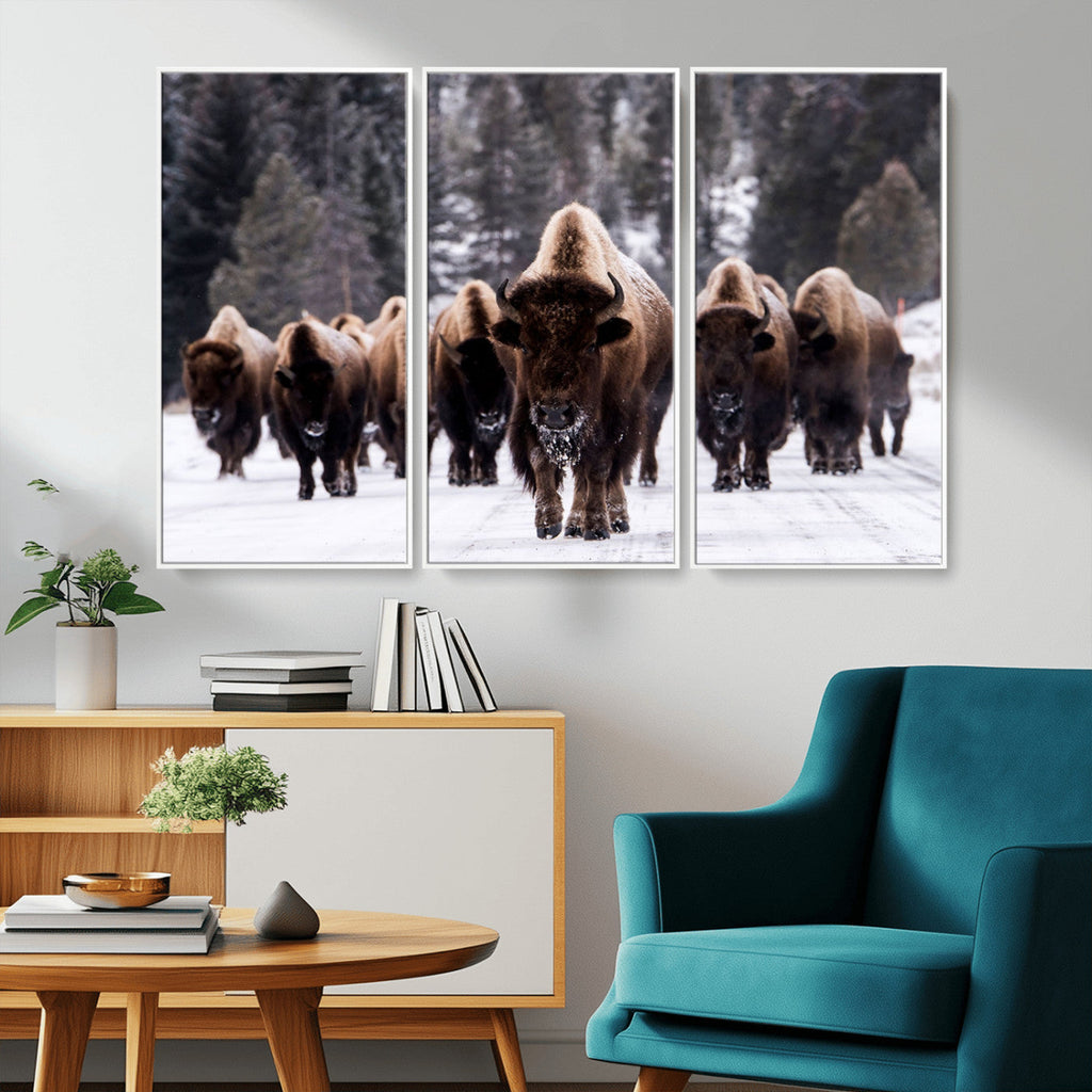 Bison Wall Art Canvas Print, Bison Herd Canvas Wall Art