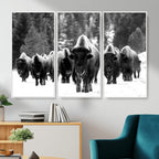 Bison Herd in Snow Wall Art Canvas Print | Rustic Western Bison Wall Art for Living Room and Farmhouse Decor