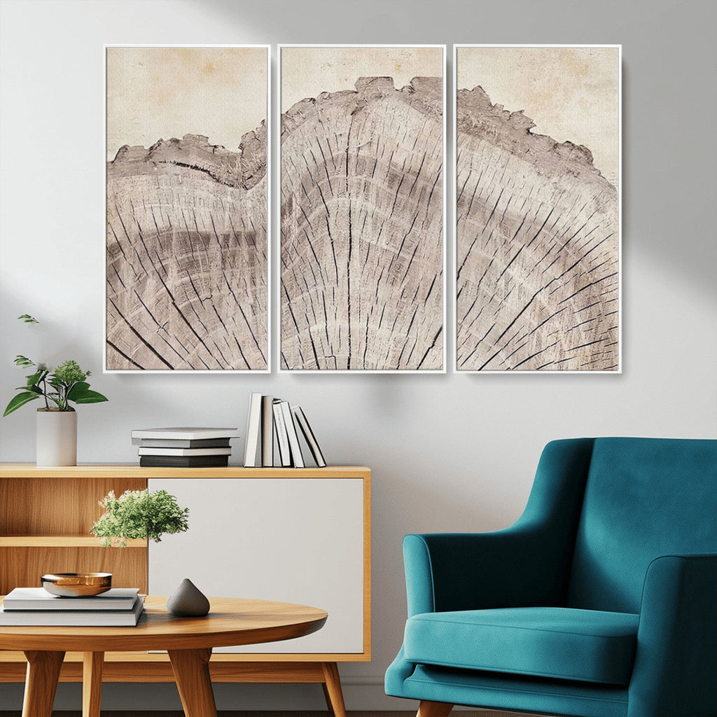 Tree Ring Wall Art Triptych, Rustic Wood Ring Canvas Print