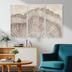 Tree Ring Wall Art Triptych, Rustic Wood Ring Canvas Print