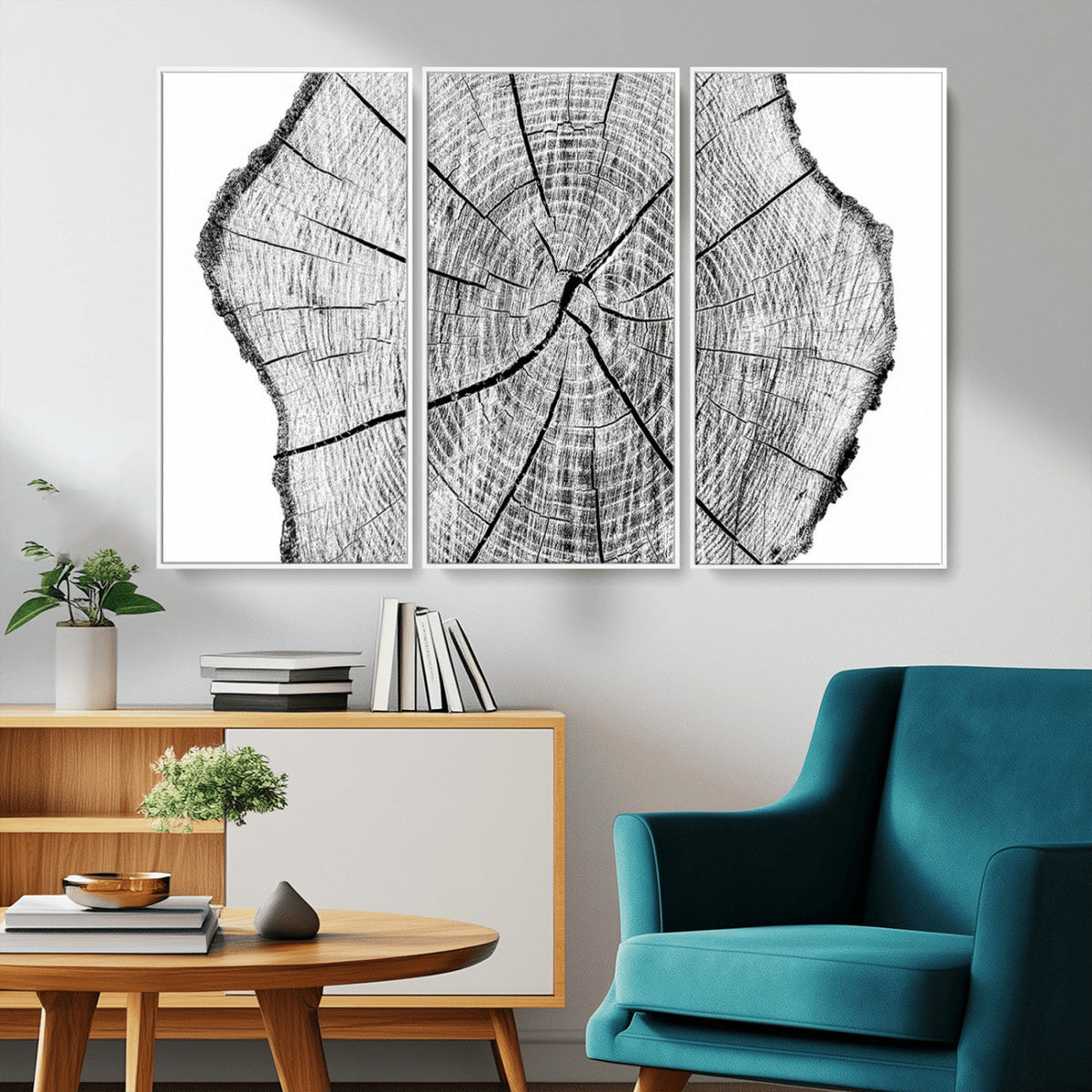 Rustic Tree Ring Wall Art Canvas Print, Framed and Ready to Hang