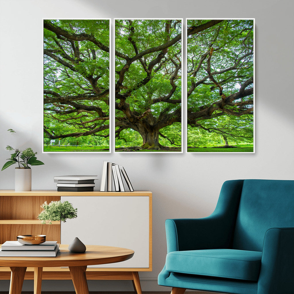 Ancient Tree Wall Art Canvas Print, Framed Sprawling Branches