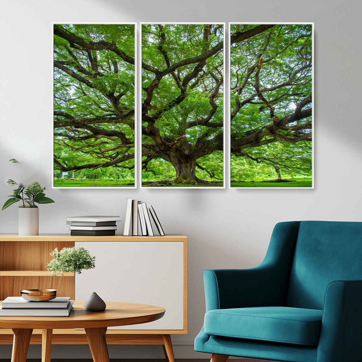 Ancient Tree Wall Art Canvas Print, Framed Sprawling Branches