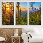 Forest Sunset Wall Art Canvas Print | Green Pines in Golden Light