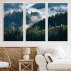 Misty Forest Wall Art Canvas Print | Pine Hills with Foggy Trees
