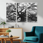 Ancient Oak Wall Art Canvas Print | Gnarled Tree with Twisted Branches