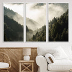 Misty Valley Wall Art Canvas Print | Foggy Forest and Pine Trees