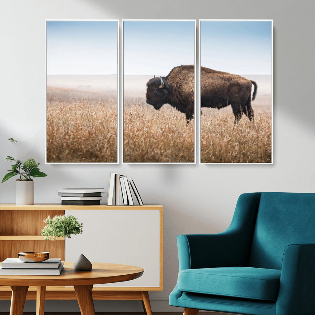 Wild Bison Wall Art | Framed Prairie Landscape Canvas