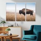 Wild Bison Wall Art | Framed Prairie Landscape Canvas
