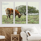 Texas Longhorn Wall Art Canvas Print, Rustic Western Ranch