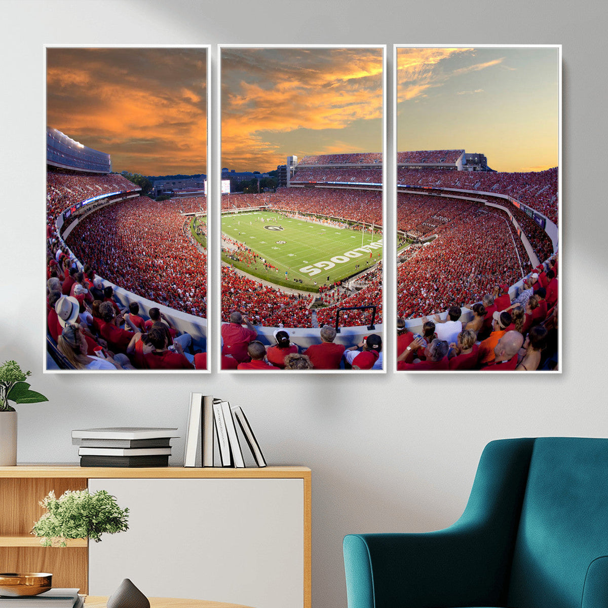 Dooley Stadium Wall Art, Sports Arena Canvas Print, Dooley Field, Framed and Ready to Hang