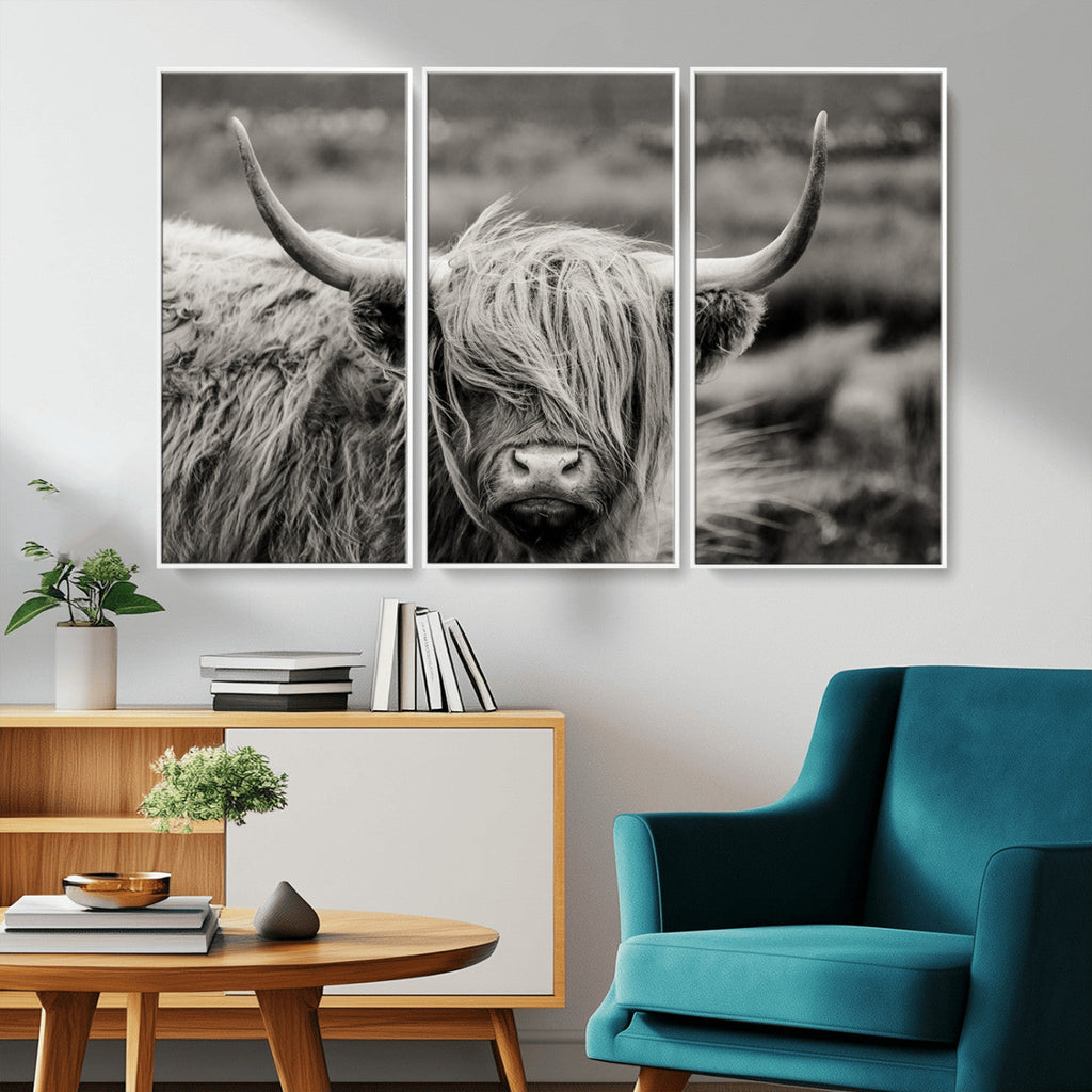 Cow Focus Canvas Wall Art Print
