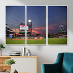 Philadelphia Phillies Baseball Print, Philadelphia Citizens Bank Park Stadium Wall Art