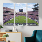 TCU Horned Frogs Football Team Print, Fort Worth Amon G. Carter Stadium, Framed and Ready to Hang