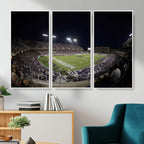 TCU Horned Frogs Football Team Print, Fort Worth Amon G. Carter Stadium