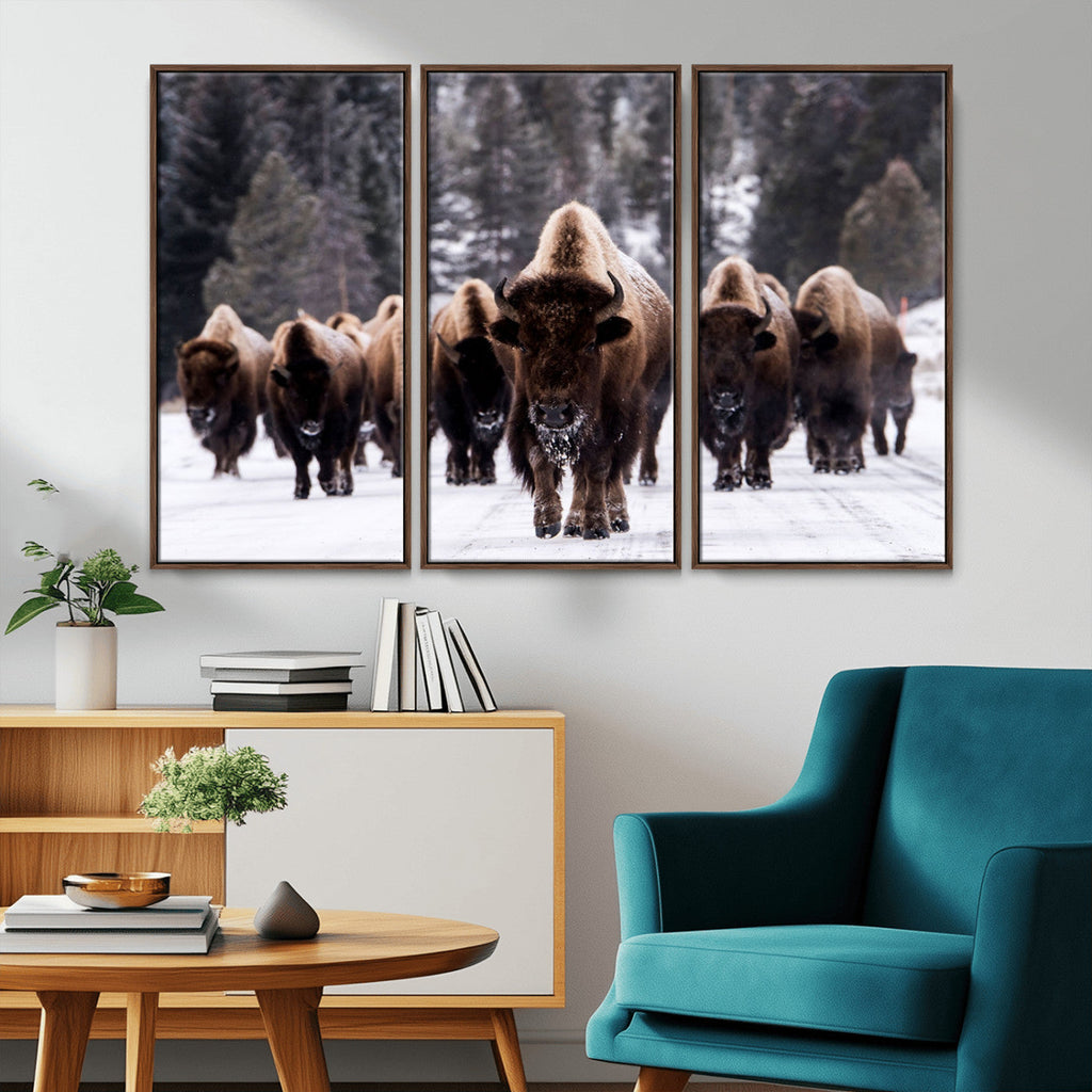 Bison Wall Art Canvas Print, Bison Herd Canvas Wall Art