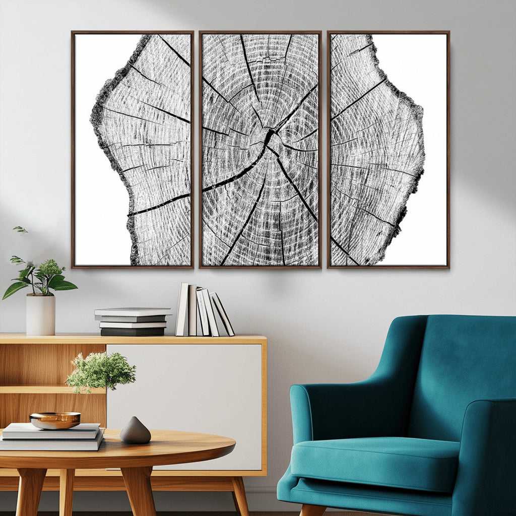 Rustic Tree Ring Wall Art Canvas Print, Framed and Ready to Hang
