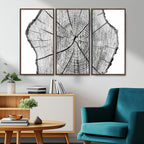 Rustic Tree Ring Wall Art Canvas Print, Framed and Ready to Hang
