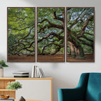Historic Tree Wall Art | Framed Mossy Branch Canvas Artwork