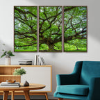 Ancient Tree Wall Art Canvas Print, Framed Sprawling Branches