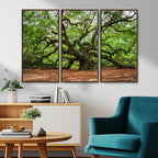 Majestic Oak Tree Wall Art Canvas Print | Ancient Branches