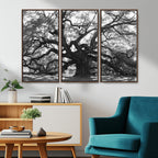 Ancient Oak Wall Art Canvas Print | Gnarled Tree with Twisted Branches